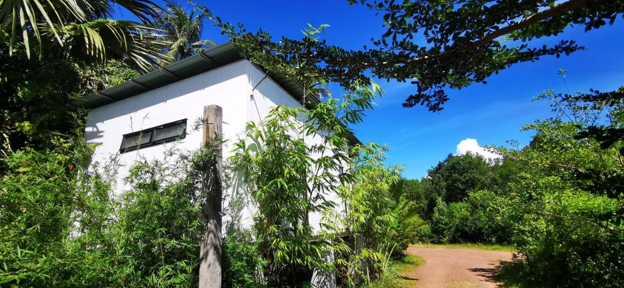 Kotak Kotak Borneo Villa Kudat Exteriör bild
