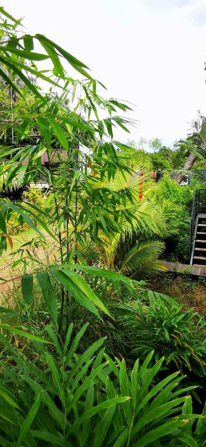 Kotak Kotak Borneo Villa Kudat Exteriör bild