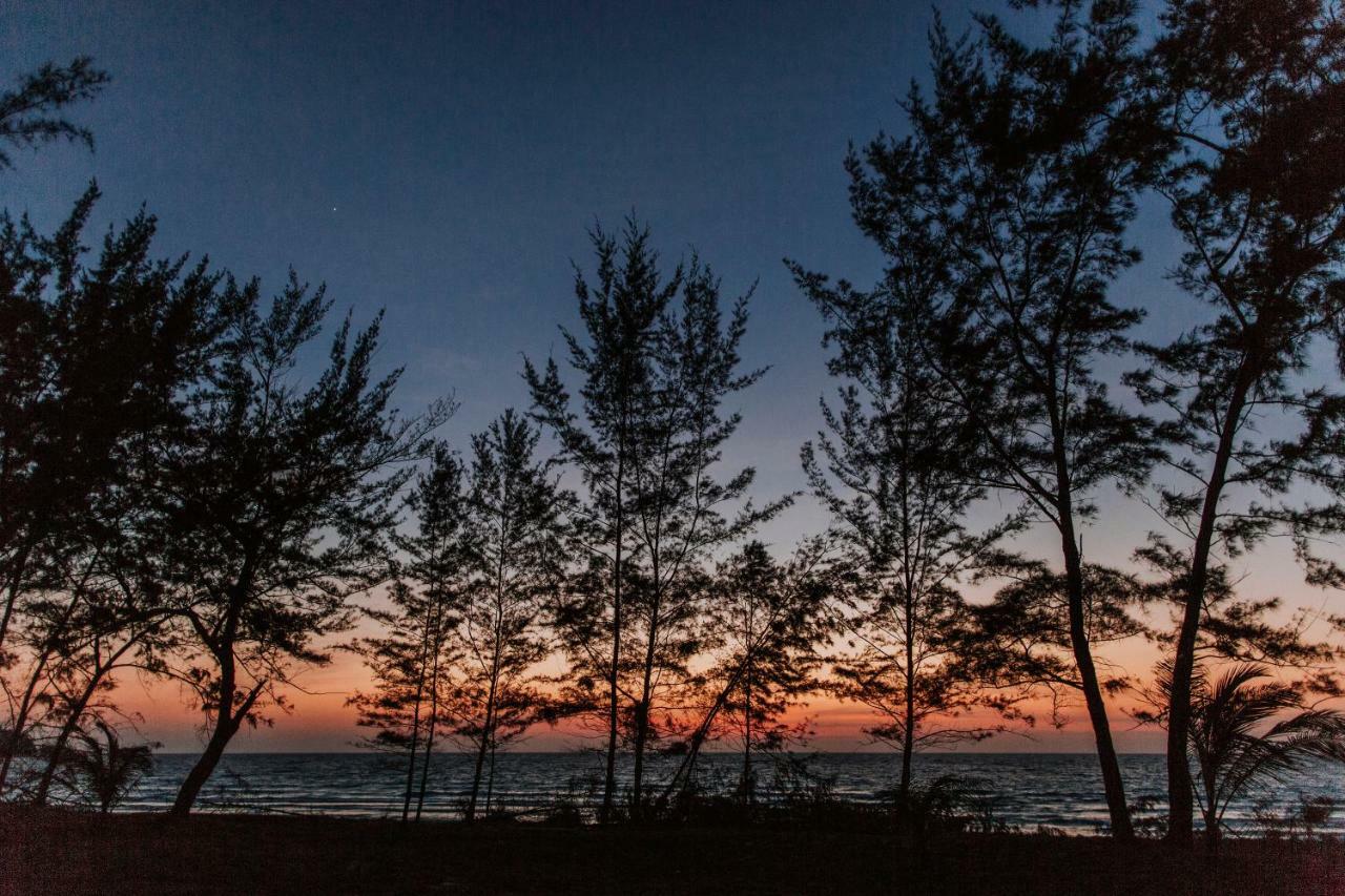 Kotak Kotak Borneo Villa Kudat Exteriör bild